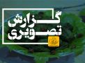 گزارش تصویری مراسم جشنواره غذا